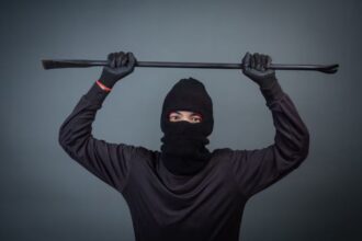 lwedninja