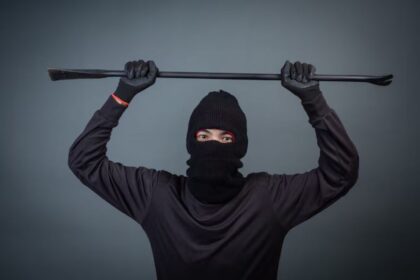 lwedninja