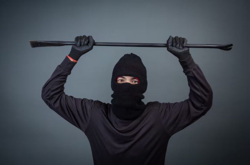lwedninja