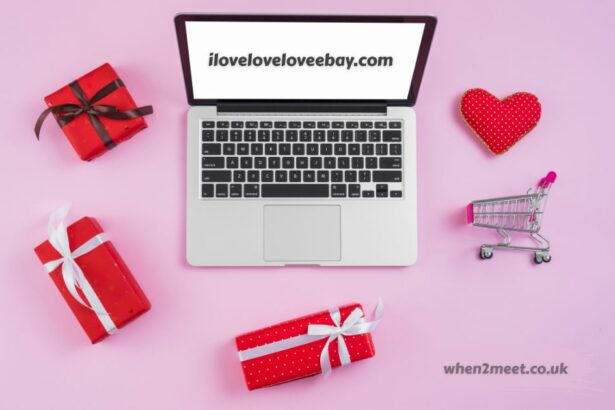 iloveloveloveebay.com