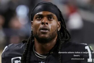 davante adams takes a swipe at the bears.