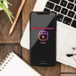 dolliestsatoru instagram