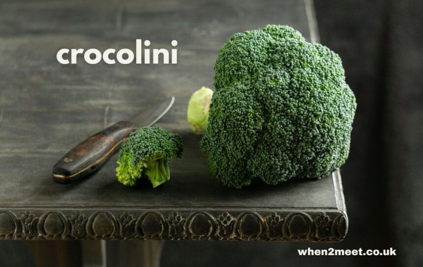 crocolini