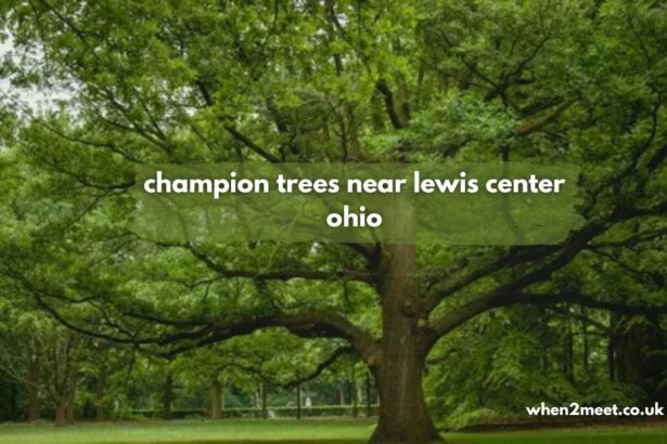 champion trees near lewis center ohio