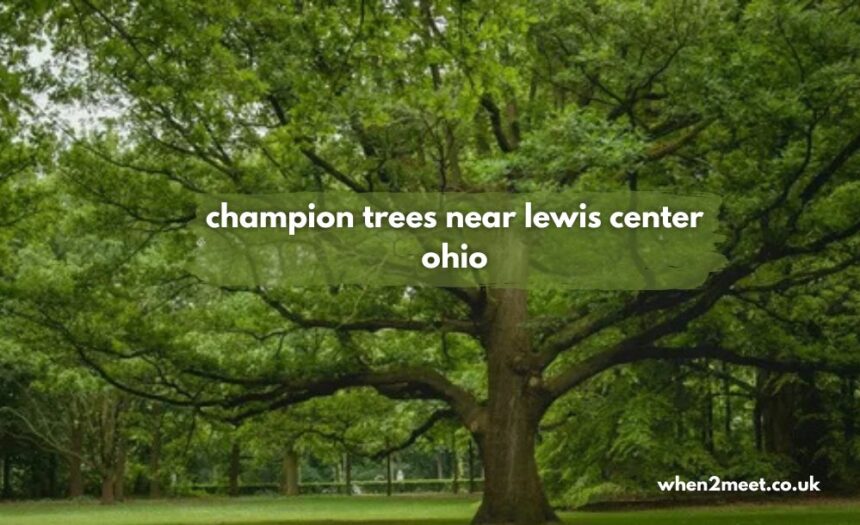 champion trees near lewis center ohio