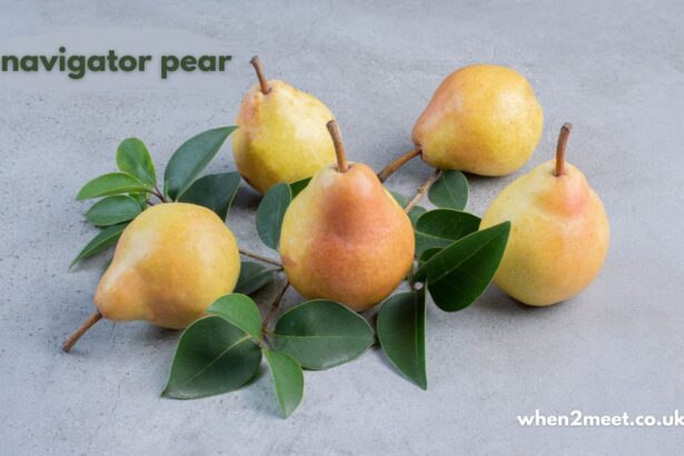 navigator pear