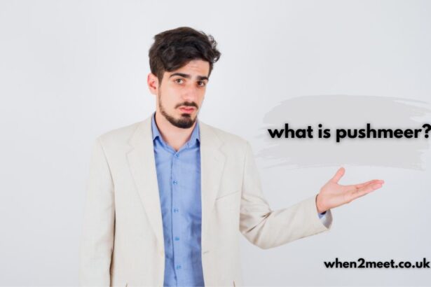 what is pushmeer